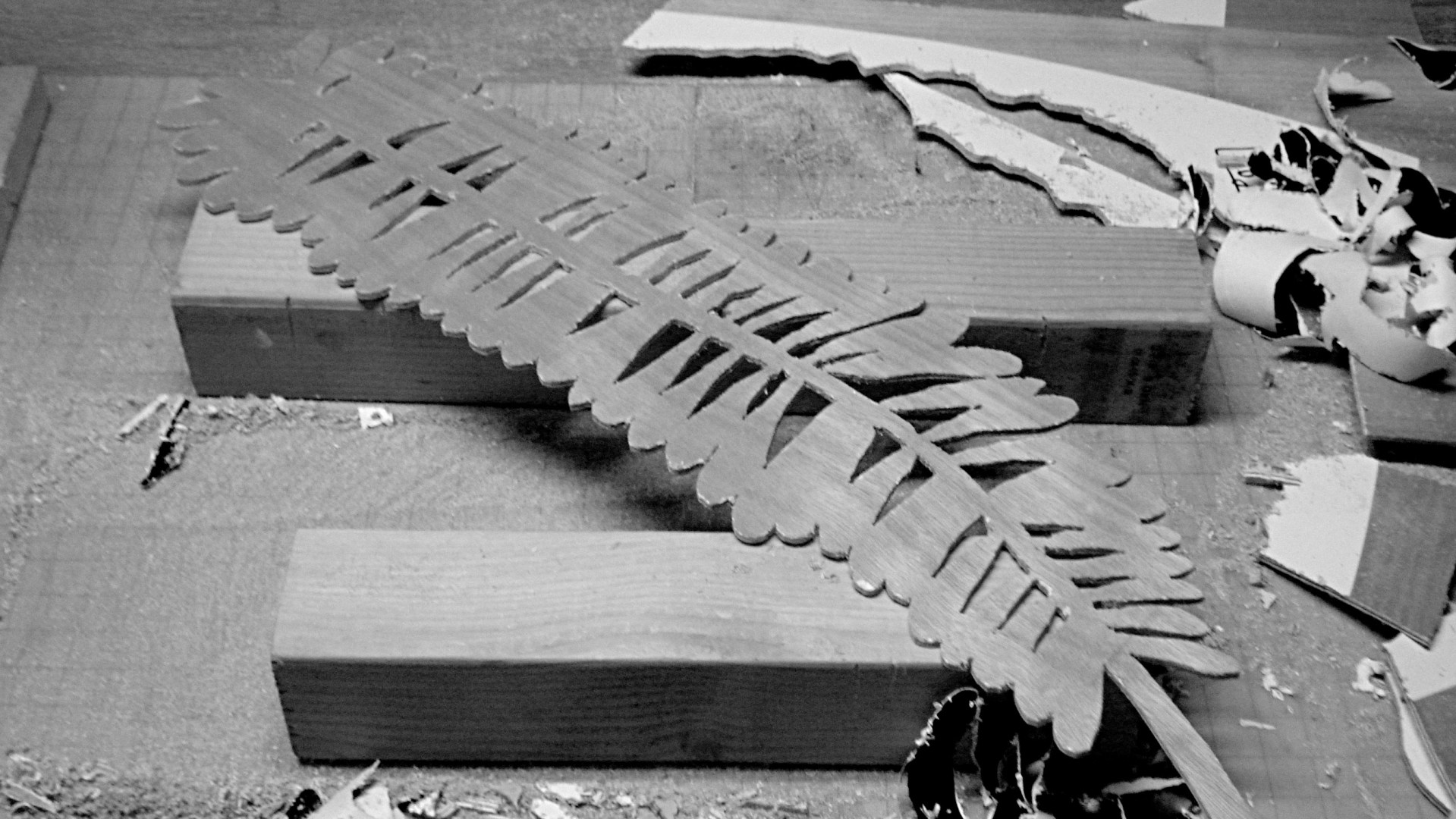 rgp_fern_cut_16x9_bw