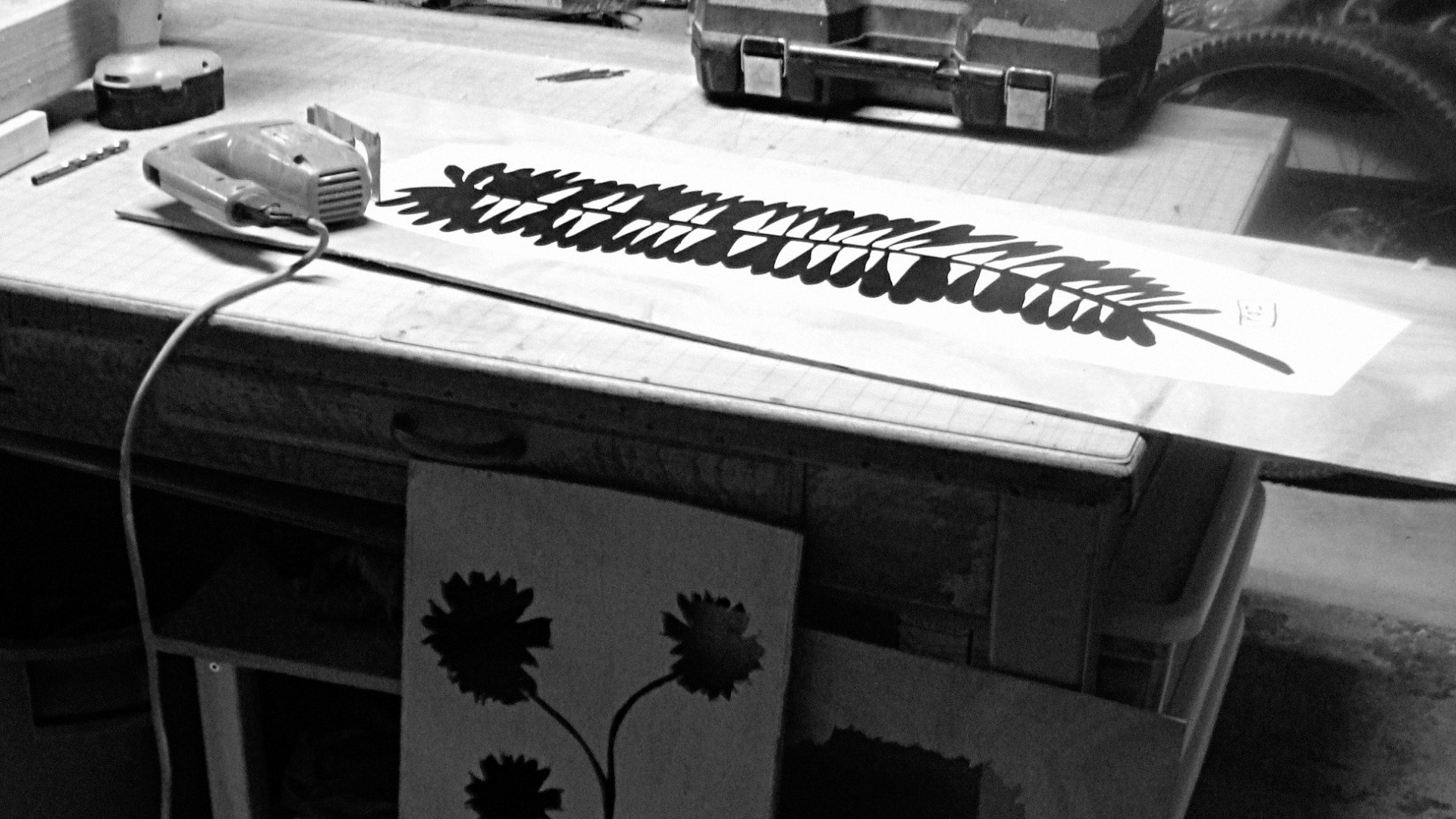 rgp_fern_uncut_16x9_bw